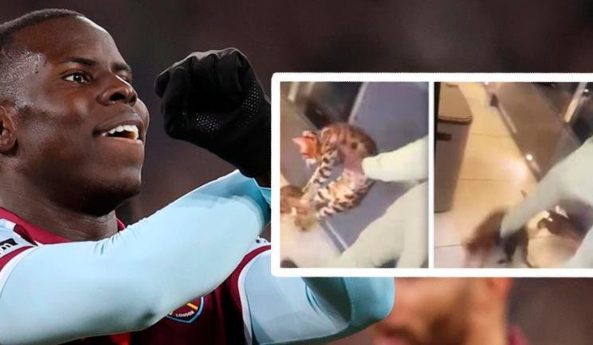 West Ham Fine Kurt Zouma Maximum Amount For Abusing Pet Cat